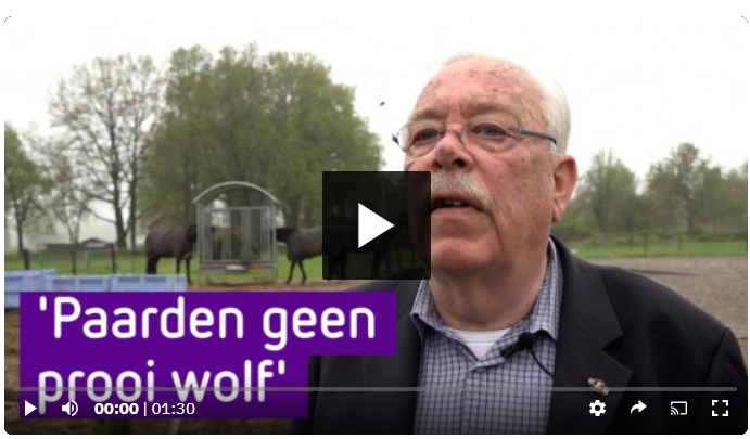 Paarden op stal uit angst voor wolf