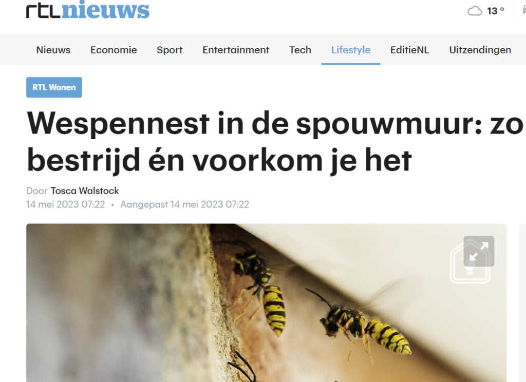 Wespennest in de spouwmuur: zo bestrijd én voorkom je het | berticht op RTL Nieuws