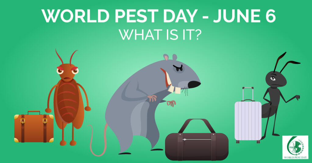 WORLD PEST DAY – June 6