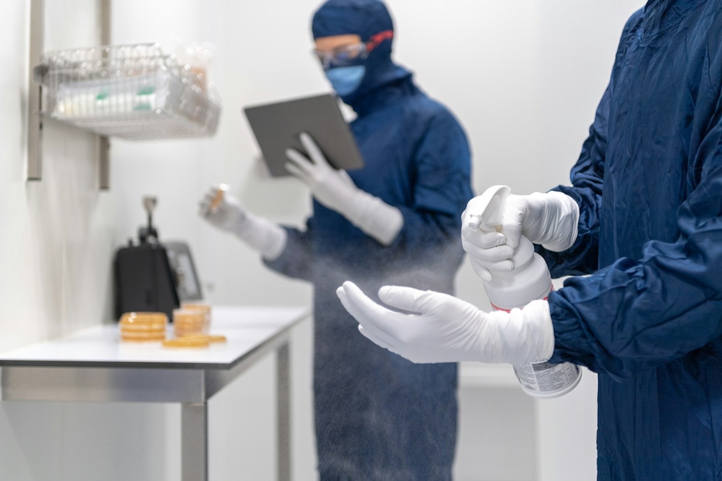 Effectieve preventietips om knaagdieren buiten te houden